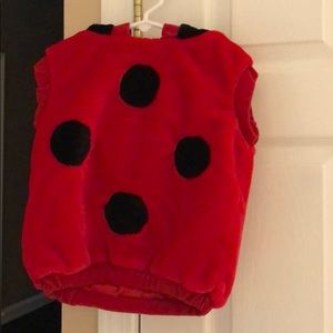 12-24 month lady bug costume